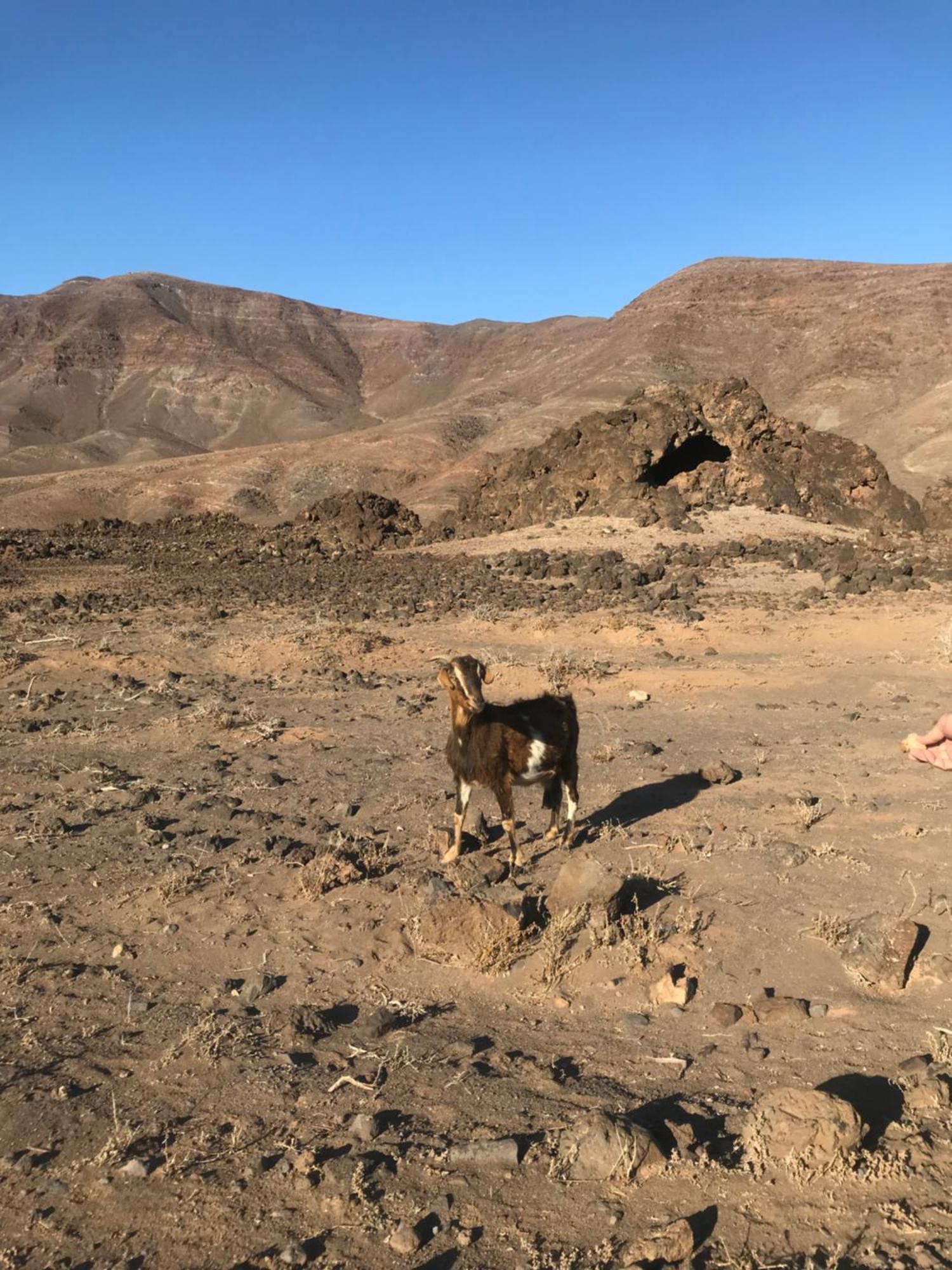 Casa Sotavento Daire Corralejo Dış mekan fotoğraf